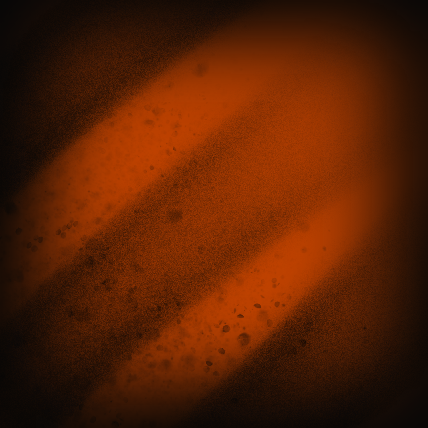 Halloween Orange and Black Gradient Background